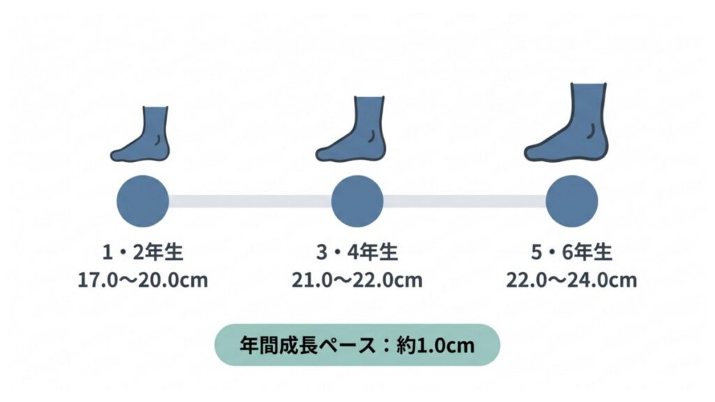 小学生の学年別足長サイズ目安と年間成長ペース約1.0cmを示す図解
